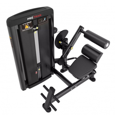 Protrain LFS118 Разгибание спины | Premium Fitness
