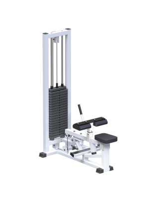 Голень станок сидя ARMS AR022.3 (стек 100 кг) | Premium Fitness