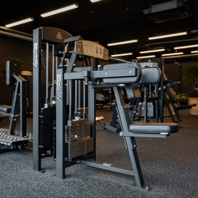 Gymleco 331 Дельт-машина | Premium Fitness