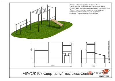 Спортивный комплекс Селена ARMS ARWOK109