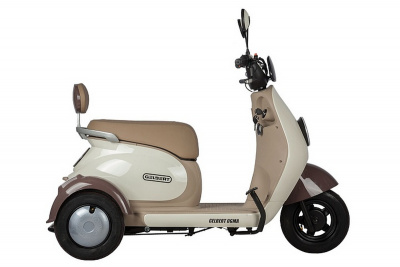 Электротрицикл 48V/60V 650Вт RuTrike Gelbert Ogma 0000252