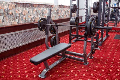 Скамья для жима горизонтальная Hasttings Digger HD004-4 | Premium Fitness