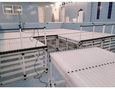Платформа для повышения уровня дна в бассейне (второе дно) HydroTonus 1169