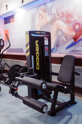 Сгибание и Разгибание ног сидя Hasttings Digger HD025-1 | Premium Fitness