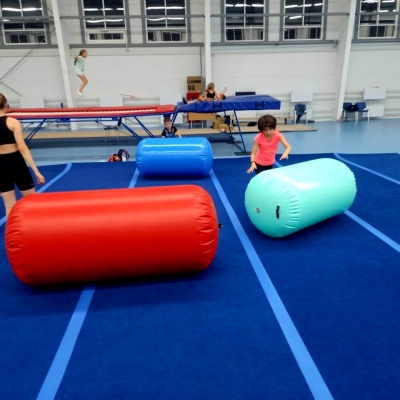 Ковер для спортивной гимнастики GymSport 14x14 Толщина 38 мм