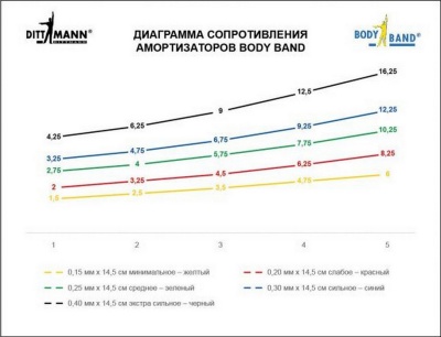 Ленточный амортизатор Dittmann Body-Band DL35534L синий