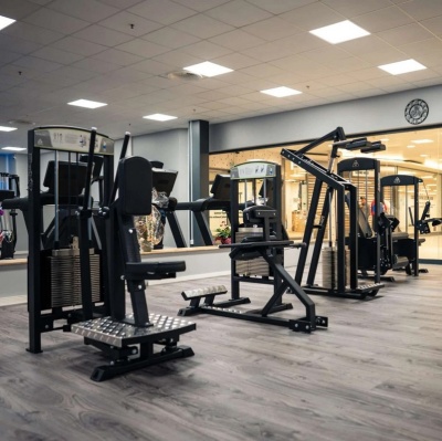Голень под углом 45° сидя Gymleco 348 | Premium Fitness