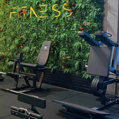Gymleco 041 Сгибание ног сидя на свободных весах | Premium Fitness