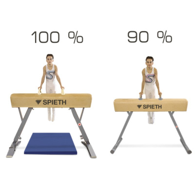 Конь гимнастический SPIETH Gymnastics Junior, тренировочный 1407068