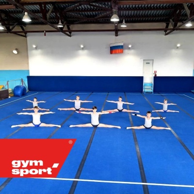 Помост для спортивной гимнастики пружинный GymSport STRONG 9х9 для ковра 9х9