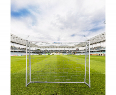 Ворота игровые DFC GOAL150