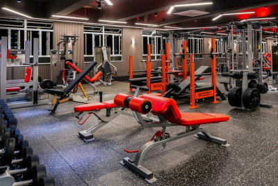 Скамья для пресса Foreman FW 512 | Premium Fitness