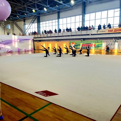 Ковер гимнастический GymSport PROF PREMIUM 12х12м