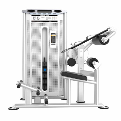 Пресс машина и разгибание спины DHZ Abdominal Isolator & Back Extension U-2088, стек 110 кг