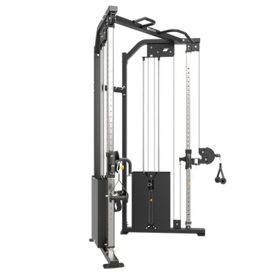 <h1>Impulse IF9330 Двойная регулируемая тяга 2х200 ф. (2х91 кг) с полным зачехлением весового стека</h1>