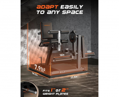 Тренажер для сгибания и разгибания ног DFC D030A | Premium Fitness