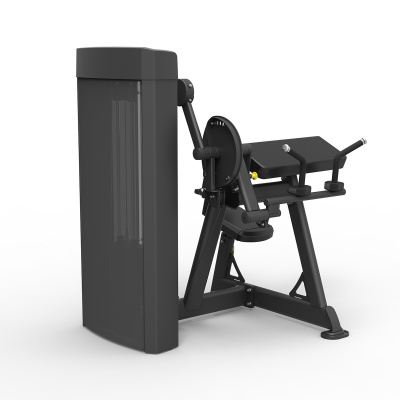 SPIRIT SP-4607 Бицепс/Трицепс сидя | Premium Fitness