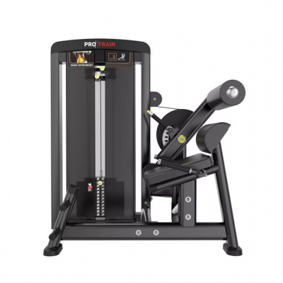 Protrain LFS118 Разгибание спины | Premium Fitness
