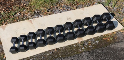 Гантель гексагональная обрезиненная Profi-Fit 2 кг