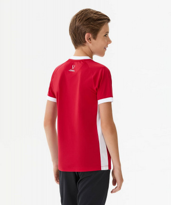 Футболка игровая Jogel DIVISION PerFormDRYElement Jersey, красный