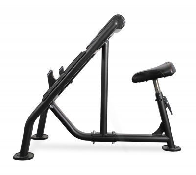 Bronze Gym BR-1007 Скамья Скотта