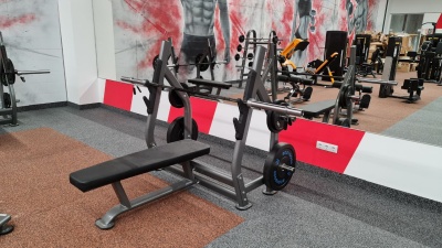 Скамья для жима горизонтальная Hasttings Digger HD004-4 | Premium Fitness