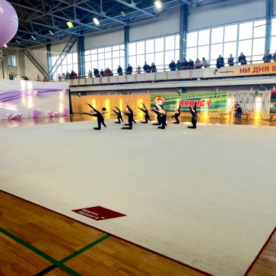 Ковер гимнастический GymSport PROF PREMIUM 12х12м