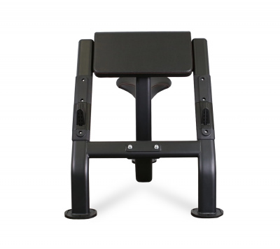 Bronze Gym BR-1007 Скамья Скотта