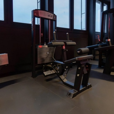 Gymleco 345 Голень сидя | Premium Fitness