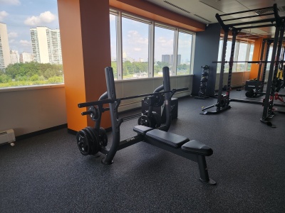 Олимпийская скамья горизонтальная SPIRIT SP-4209 | Premium Fitness