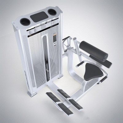 Разгибание Спины DHZ Back Extension E7031A