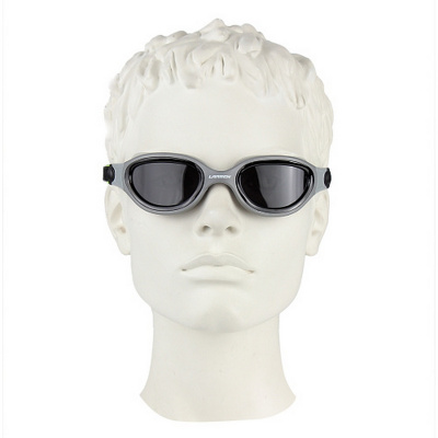 Очки плавательные Larsen GG1711 dark Smoke\Silver\Black