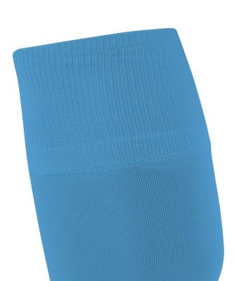 Гетры футбольные Jogel CAMP ADVANCED SOCKS голубой\белый