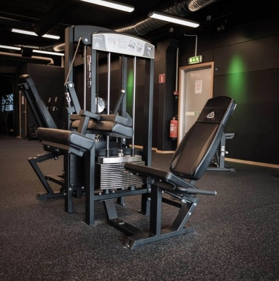 Gymleco 341 Сгибание Ног Сидя | Premium Fitness
