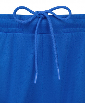Шорты баскетбольные Jogel DIVISION PerFormDRY Shorts Z2, синий