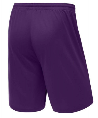 Шорты баскетбольные Jogel Camp Basic, фиолетовый, детский