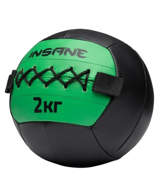 Медбол 2кг Insane IN24-WB100 зеленый