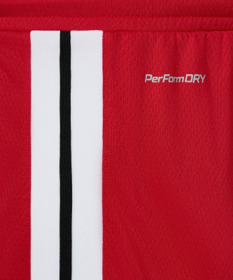 Шорты баскетбольные Jogel DIVISION PerFormDRY Shorts R2, красный