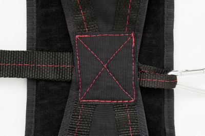 Петли Береша (пара) Stecter