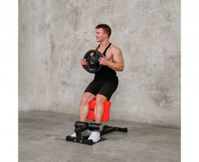 Тренажер для приседаний Sissy Squat DFC IN21715 | Premium Fitness