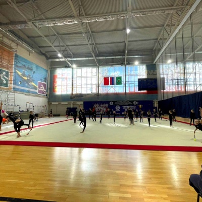 Ковер для эстетической гимнастики GymSport PROF PREMIUM RED 14Х14