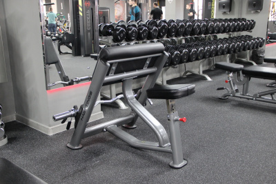 Скамья Скотта Hasttings Digger HD020-4 | Premium Fitness