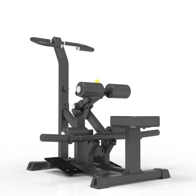 Вертикальный ягодичный мостик Impulse IFP1616 | Premium Fitness