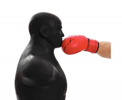 Манекен DFC Adjustable Punch Man-Medium TLS-HB черный