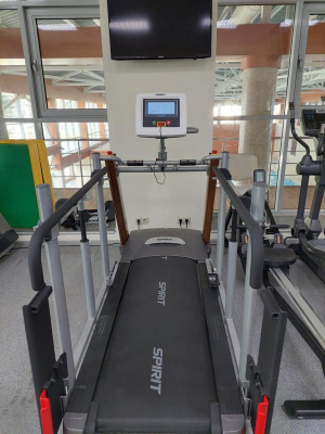 Беговая дорожка SPIRIT LW850