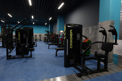 Пресс-машина Hasttings Digger HD027-1 | Premium Fitness
