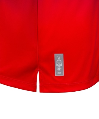 Футболка разминочная Jogel NATIONAL PerFormDRY Pre-Match Tee, сине-красный