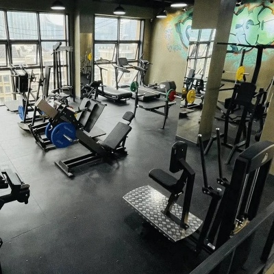 Gymleco 335 Баттерфляй для задней дельты (пек дек) | Premium Fitness