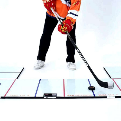 Тренажер хоккейный электронный Mad Guy Potent Hockey UD 2.0