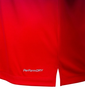 Футболка разминочная Jogel NATIONAL PerFormDRY Pre-Match Tee, сине-красный